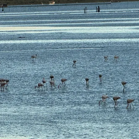 Διαμέρισμα Casa Mia