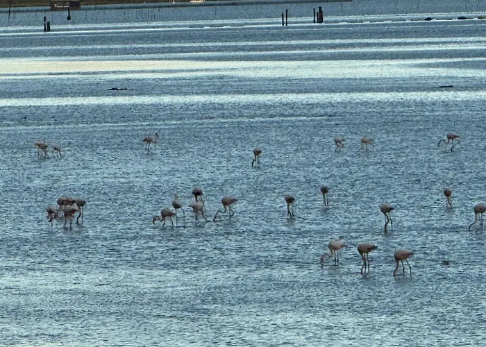 Διαμέρισμα Casa Mia